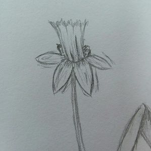 Meet your Posher, Anathe